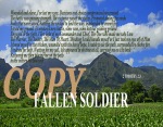 FALLEN SOLDIER_edited-2
