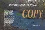 the miracle of the brook_edited-1